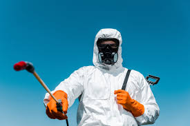 Real Estate Pest Inspections in Salem, AR